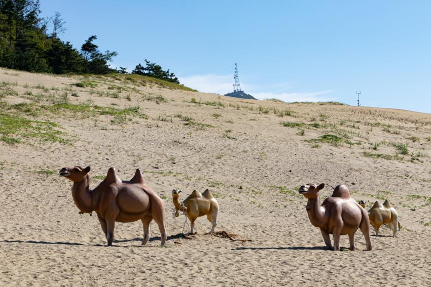 [일반시민] 26년 3월 출발부터~ 8시30분 출발 서해 최북단 백령도대청도 2박3일  [2021/2022 안전여행상품선정]